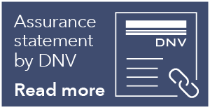 Assurance statement by DNV blue 300 px width (002)