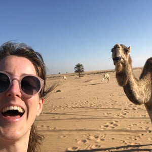 Mari camel