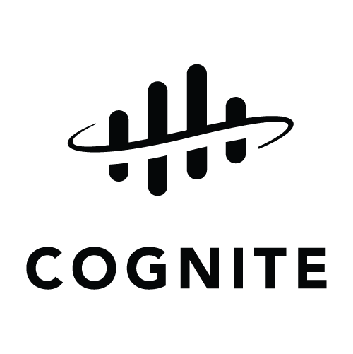 image of blog Team Cognite